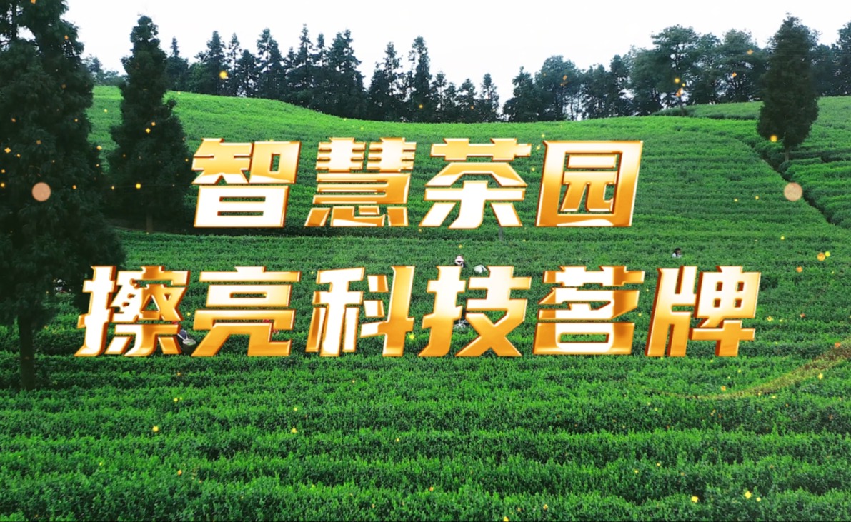 智慧茶园，擦亮科技茗牌