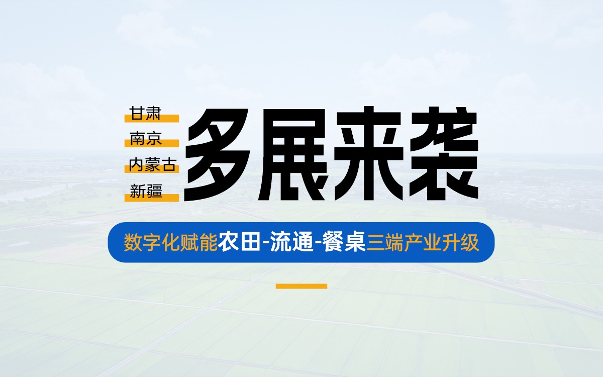 盛夏多展来袭，共探产业数字化新路径